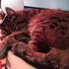 endercuddly