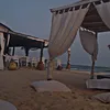 palmaa213