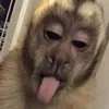 manupvkj