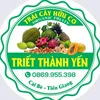 trietthanhyen_2023caibe