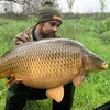 the_carp_angler