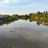 nakunsinph2