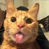 jexxixi_