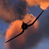 donnie_in_a_plane