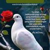 mohdsahrin123456
