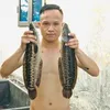 quynhpham180595