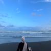 reree_cantii