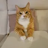 ytwr_8