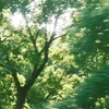 passdo_2025