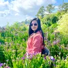 nif_9127