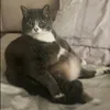 lexllx