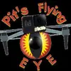 pitsflyingeye