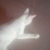 hello_kandice