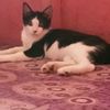 user63466183813sriyani