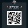 _team.gach4_