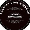 sadiningtulungagung