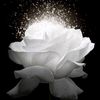 its___angel__