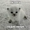 aytist228866