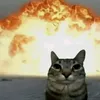 spitfirev_w