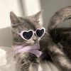 dasha_243509