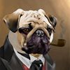fffreedomfrenchie