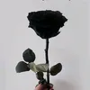 zaskosammy16