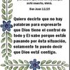 user4141972244880