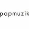 popmuzik101