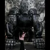 nicolell118