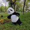 bigpanda766