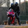 Phoenix_riders