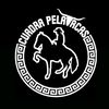 cuadrapelavacas