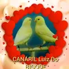 luizdobigode