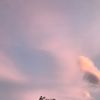clouflo