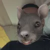 vnsilx7
