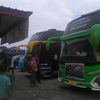 pesonaanakmaniabus