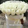 user89539662123738