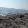 anyazaitsevay