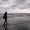 sj_majid