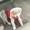 phungleee