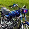 rxking_cemas