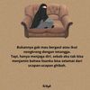 myhanny60