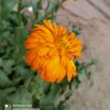 hossainkhan551