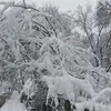 agnieszkaczu77