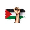 saif_mirza_496
