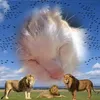 ggjur