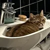hugo0815_