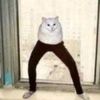 zchklsd