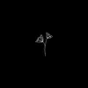 notswiftie_