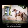 مقاطع مشاهير